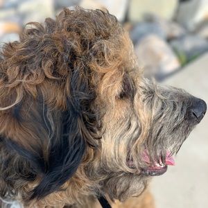 Meet your Posher, Caylie